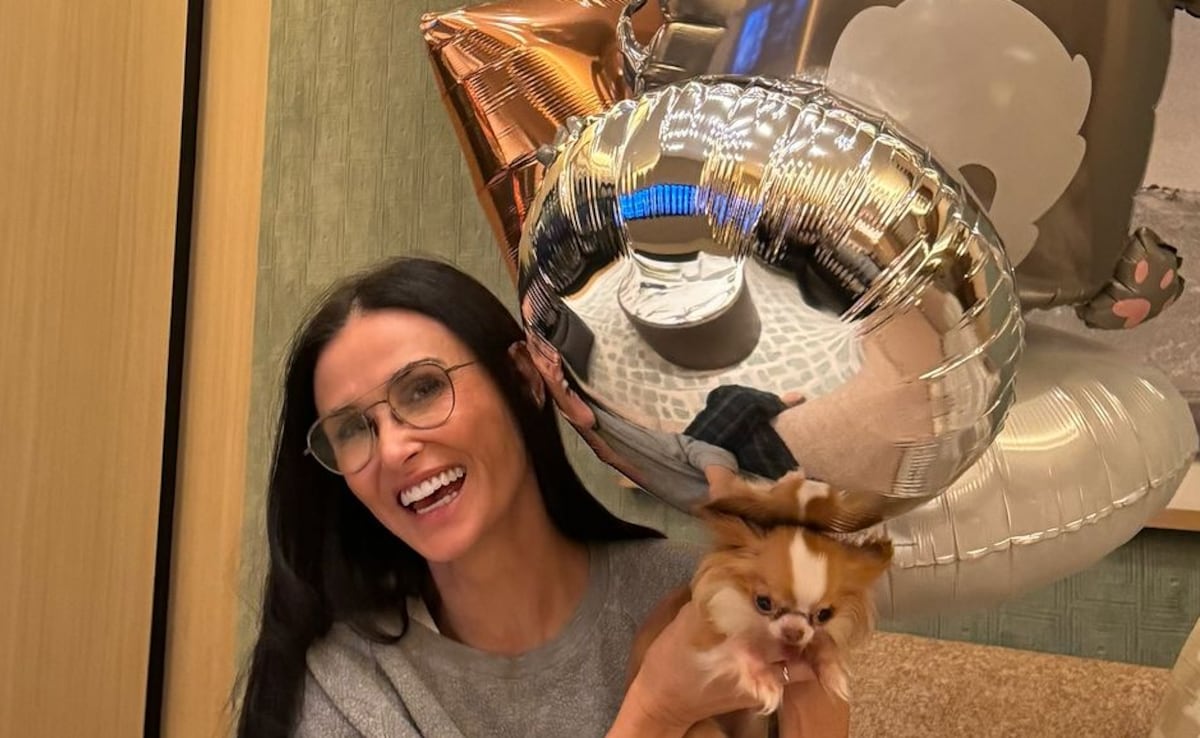 Demi Moore’s Chihuahua, Pilaf, Expresses Gratitude for Birthday Greetings as Actress Prepares for Role in Landman