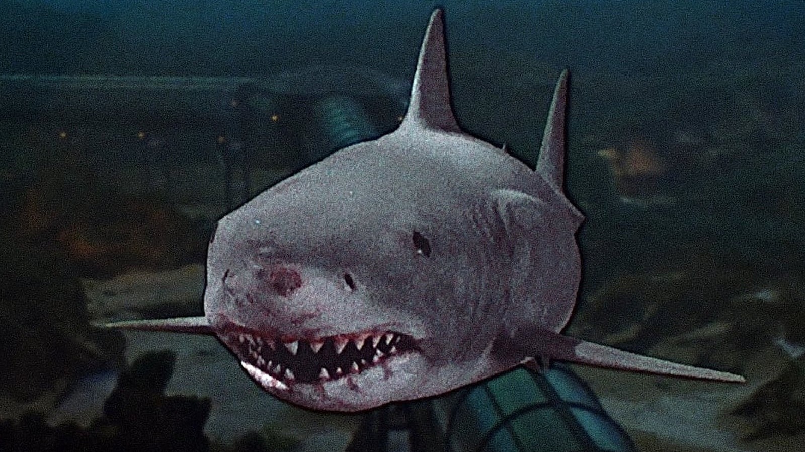 Steven Spielberg’s “Jaws” Nearly Spawned a Hilarious Sequel That Never Was